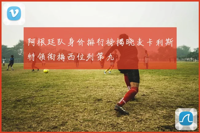 阿根廷队身价排行榜揭晓麦卡利斯特领衔梅西位列第九
